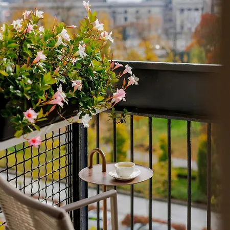 Stone View *